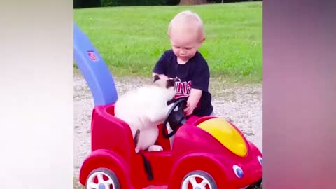 Baby VS Cat funny video_ part-9_(720HD).mp4