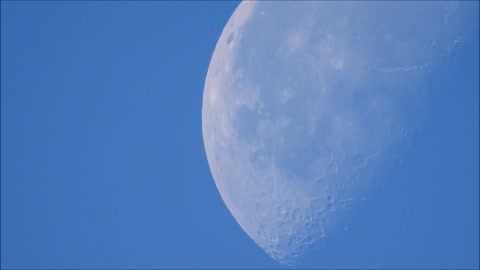 See Through The Morning Moon!