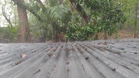 Rain on roof top