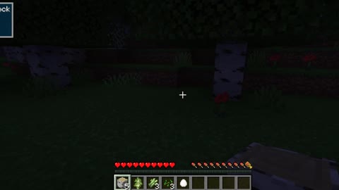 Minecraft 1-1.16.5 A new beginning Shorts 35