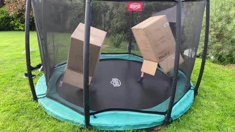 Brothers Invent Trampoline Boxing Sport