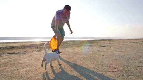 Young happy playing with cute puppy dog Jack Russell terrier on beach