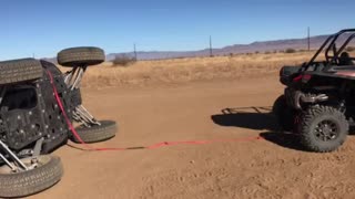 Desert friends helping out