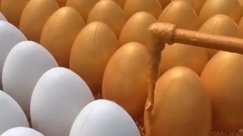 Magic eggs