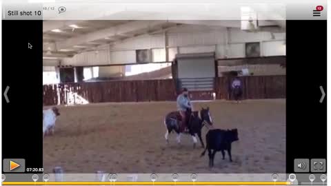 Michael Cooper lern an Critiques A Cutter Working His Horse At Home