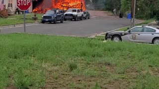 Firemen Rescue Dog from Fast-Spreading Fire