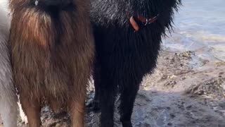 Best Friends Take Picture at the Beach