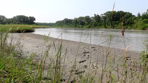 Relaxing Sound Of Mountain River and Birdsong For Meditation And Stress Relief