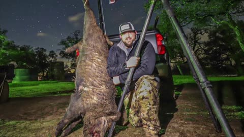 22 GT | 69 Absolute Hammer | Big Boar Hunt