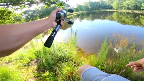 Fishing With GIANT Livebait WORMS (WALMART)