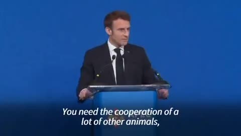 Macron at APEC summit: “We need a single global order.”