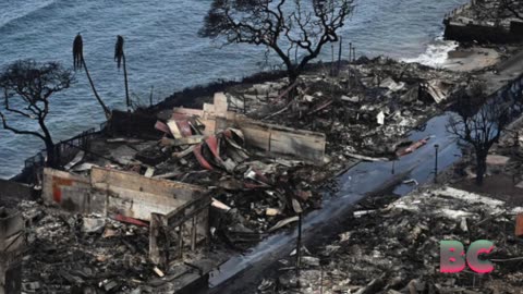 Lahaina Fire Victims Being Pressured to Sell Land