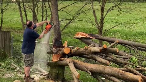 Tree Cutting Destroys Fence