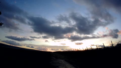 A row of walking clouds.