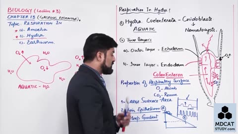 LEC#3 RESPIRATION IN HYDRA