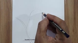 How to draw a Bird Scenery with pencil step by step, Pencil Drawing for beginners