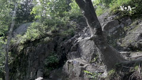 Nature: Mount Major | VOA Connect