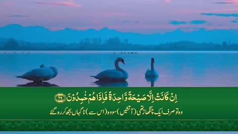 Surah Yasin ( Yaseen ) with Urdu Translation - Quran Tilawat Beautiful Voice - Hindi Tarjuma