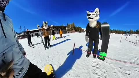 That was a first. #furry #snowboard #halfcabking