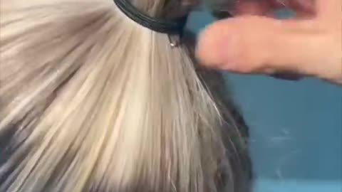 Snached ponytail