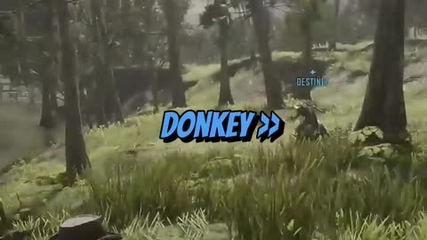 Horse or Donkey?