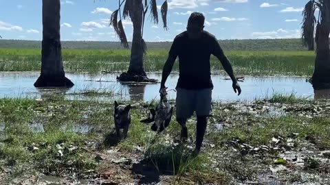 Catch and Cook!! Spearing Crocodile, Duck and Barramundi in the Wild