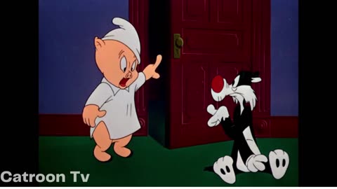 Merrie Melodies Scaredy Cat Cartoon