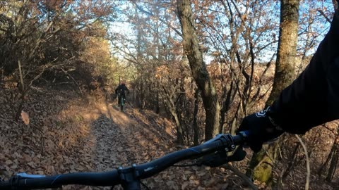 MTB Winter 2023 - Forgotten Path