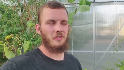 First Harvest, Follow-Up, and a Few Upgrades at the Hydroponics Greenhouse