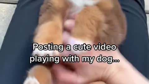 Posting a cute video playing with my dog...