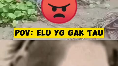 POV ELU YG GAK UPDATE BERITA #shorts