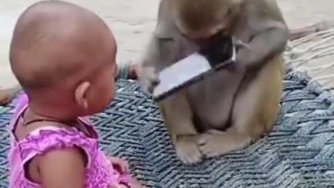 Monkey vs baby 👶 vs mobile