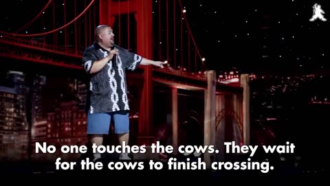 Fluffy Goes To India _ Gabriel Iglesias