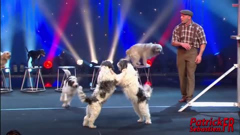 Wolfgang Lauenburger - Dressage de Chiens - Le Plus Grand Cabaret Du Monde