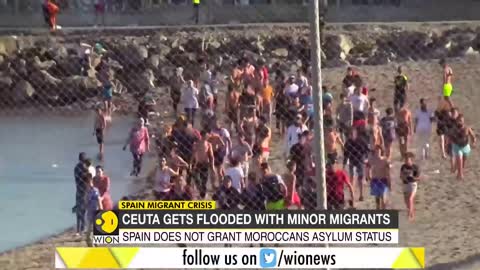 Spain Migrant Crisis: Spain witnesses unprecedented migration | Latest World English News | WION