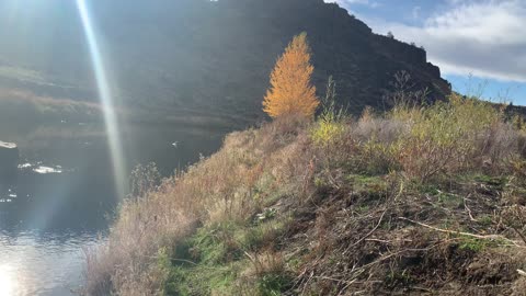 Central Oregon – Smith Rock State Park – Hiking Towards a Magical Yellow Tree – 4K