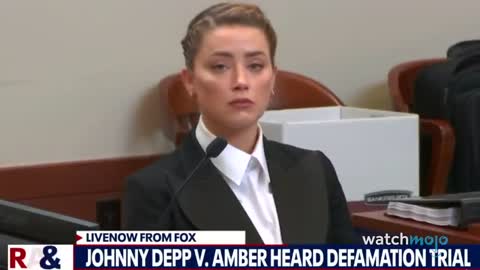 Top 20 Revelations In The Johnny Depp Amber Heard Trial