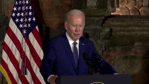 Midterm elections showed strength of U.S. democracy, says Biden