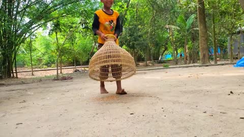 Amazing Pigeon Trapping technique | Boy Catching Bird With Fishing Tools Polo