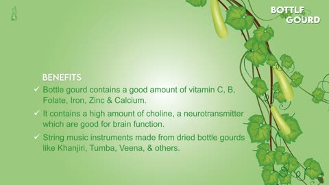 Bottle Gourd