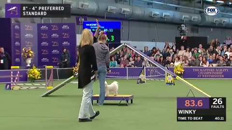 Watch 5 of the best WKC Dog Show moments to celebrate National Puppy Day | FOX SPORTS