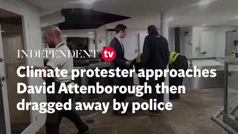 Climate protester approaches David Attenborough then dragged away by police