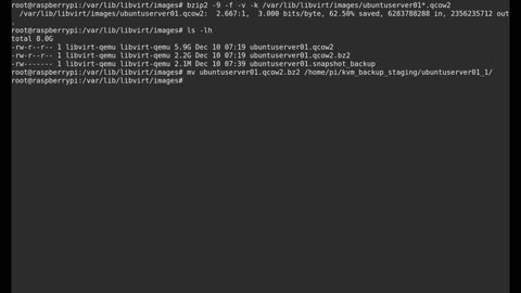 Raspberry Pi4B KVM 04-Backing up KVM virtual machines