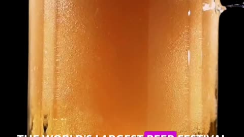 5 Fascinating Beer Facts You Need to Know! 🍺✨🧠