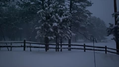 Spring snow blankets Central Colorado