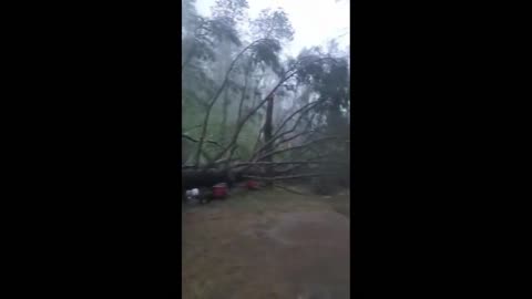 Insane storm beats down on campers in Cloyne, Ontario