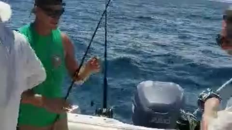 Bowfishing offshore for Barracuda