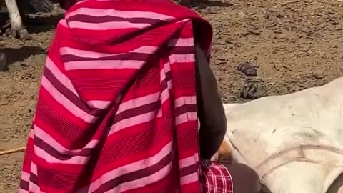 Maasai culture in Kenya!