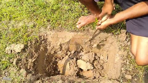 Amazing Hole Fish Trap- Smart Boy Build Fish Trap By Muddy soil ..