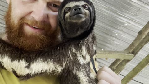 Making Sloth Friends